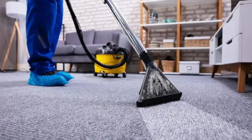 Carpet Cleaning Services
