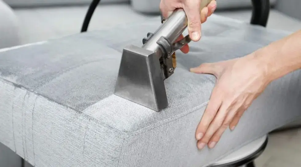 Couch Cleaning Services