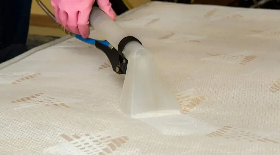Mattress Cleaning Services